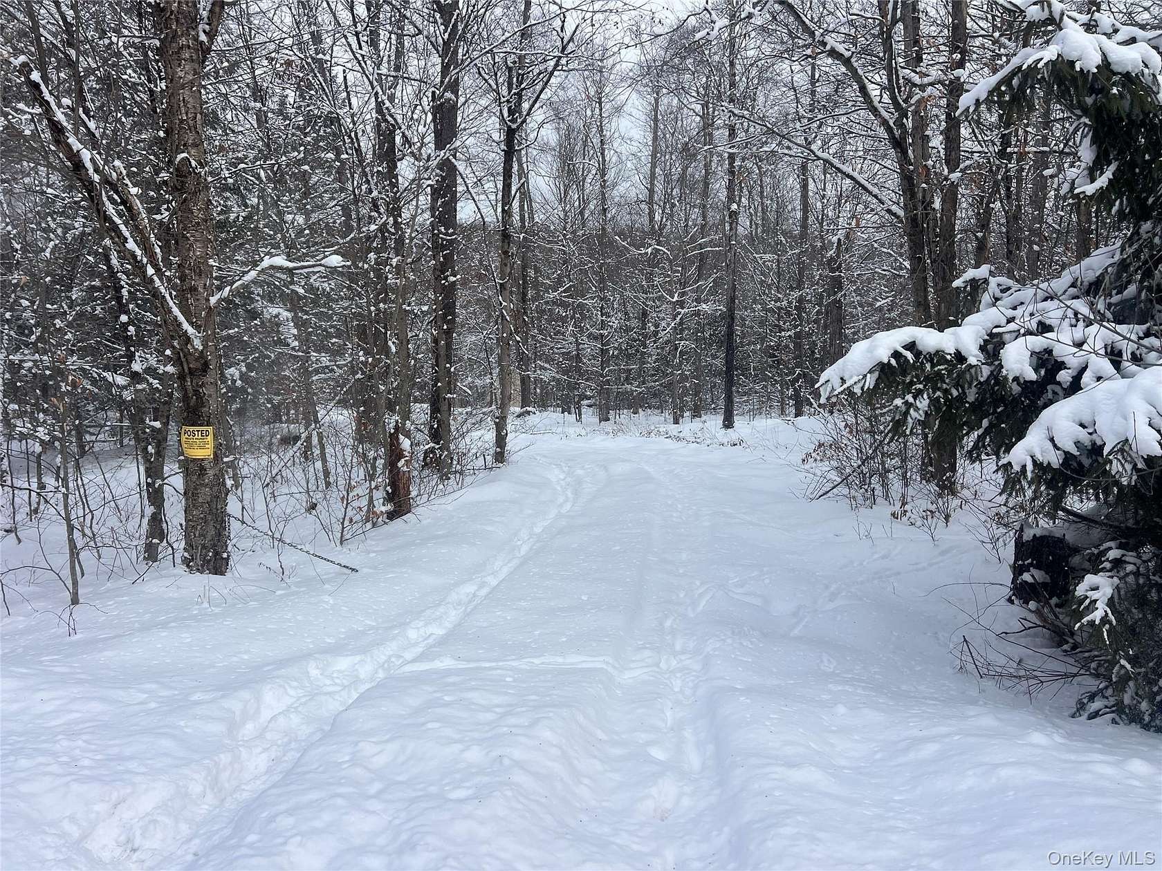 7 Acres of Land for Sale in Hancock, New York