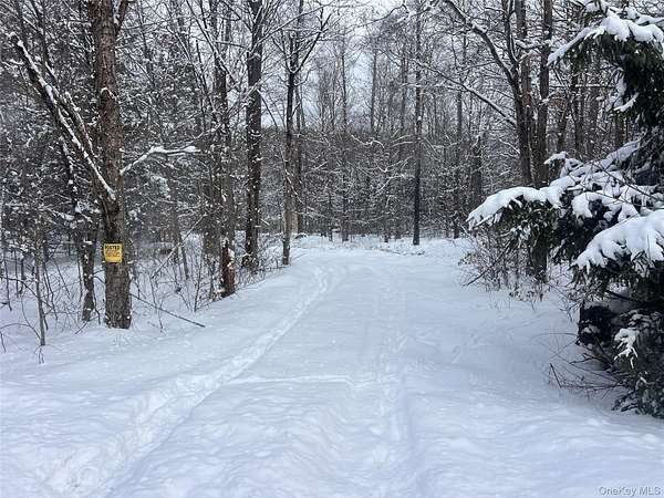 7 Acres of Land for Sale in Hancock, New York