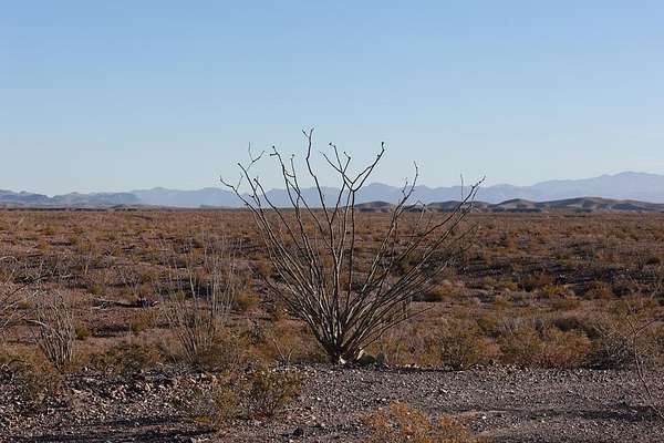 10.2 Acres of Recreational Land for Sale in Presidio, Texas