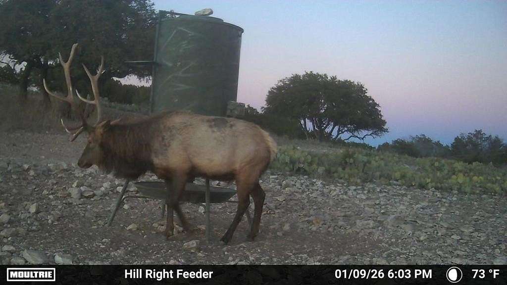 125 Acres of Improved Recreational Land for Sale in Rocksprings, Texas