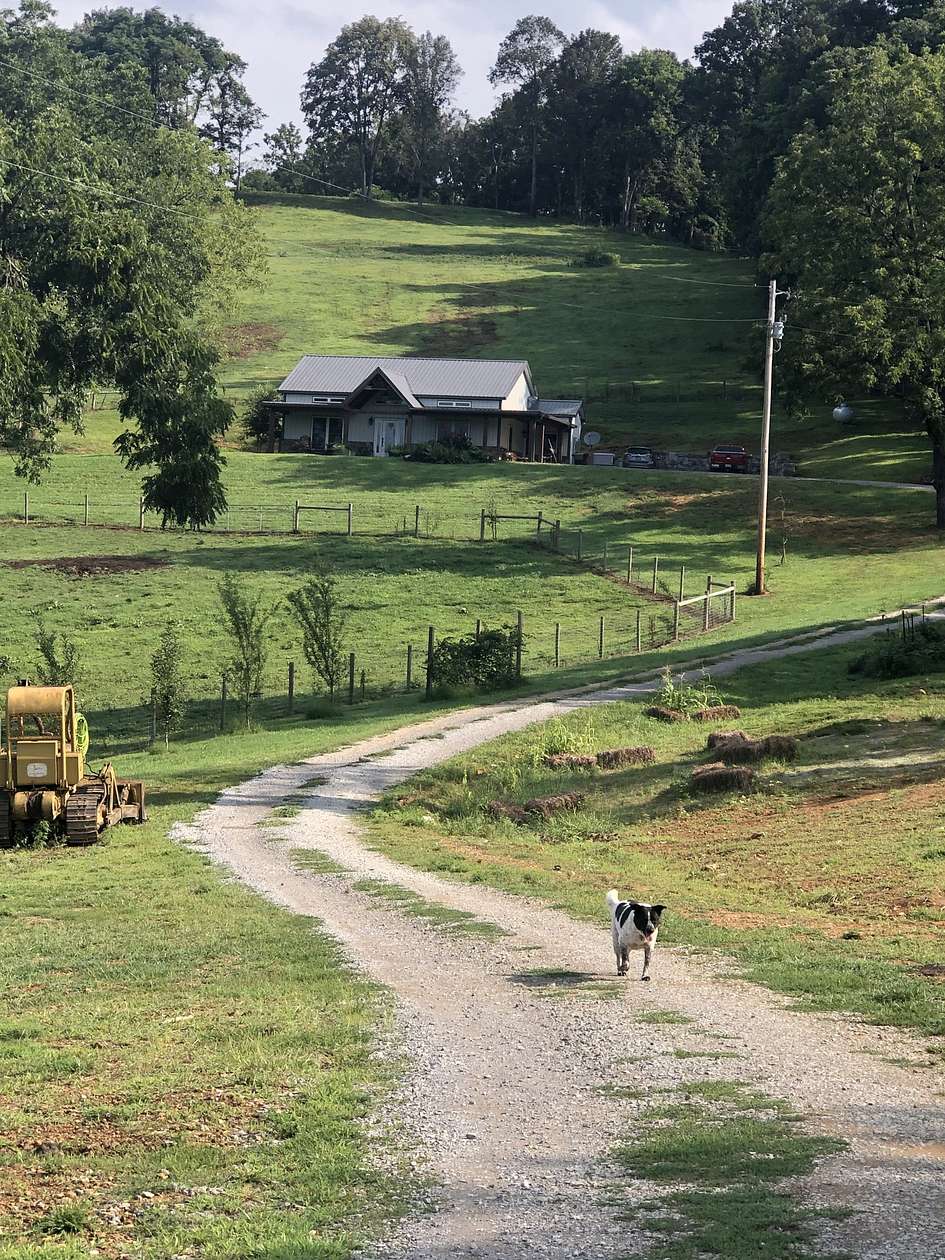 19.2 Acres of Land with Home for Sale in Cornersville, Tennessee