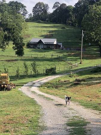 19.2 Acres of Land with Home for Sale in Cornersville, Tennessee