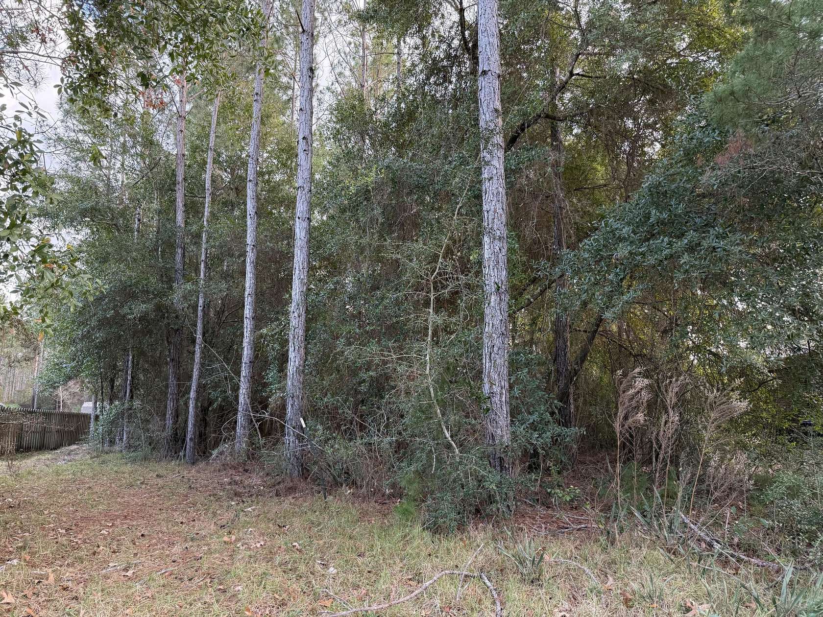 0.5 Acres of Residential Land for Sale in Freeport, Florida