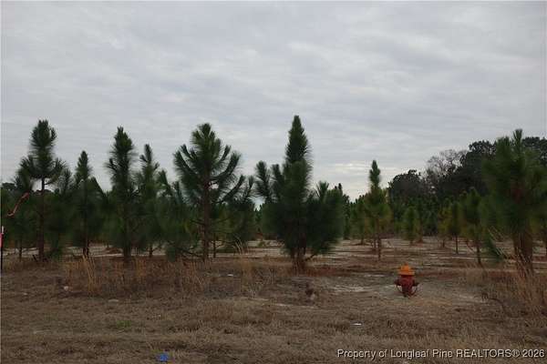 5.3 Acres of Residential Land for Sale in Fairmont, North Carolina