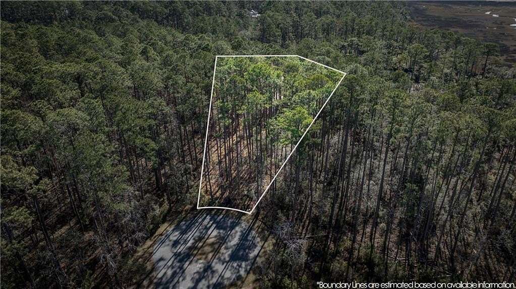 0.74 Acres of Residential Land for Sale in Townsend, Georgia