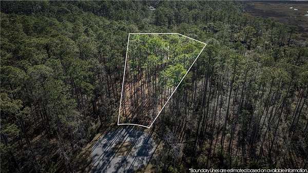 0.74 Acres of Land for Sale in Townsend, Georgia