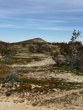 Land for Sale in North Edwards, California