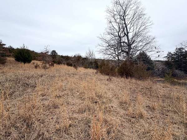 10 Acres of Residential Land for Sale in Theodosia, Missouri