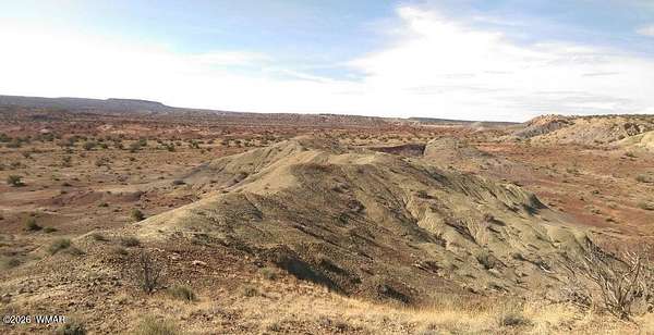 36.4 Acres of Recreational Land for Sale in St. Johns, Arizona