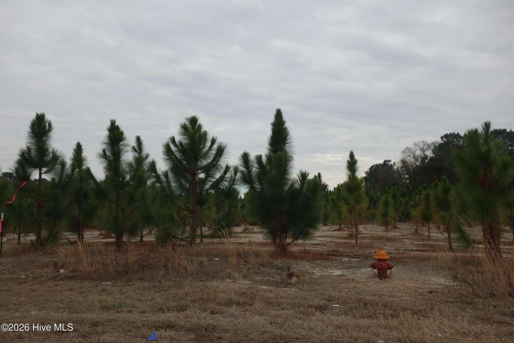 5.6 Acres of Residential Land for Sale in Fairmont, North Carolina