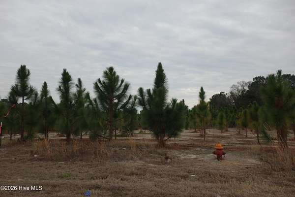 5.6 Acres of Residential Land for Sale in Fairmont, North Carolina