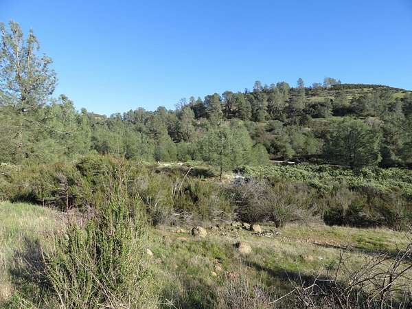 5.16 Acres of Residential Land for Sale in Mountain Ranch, California