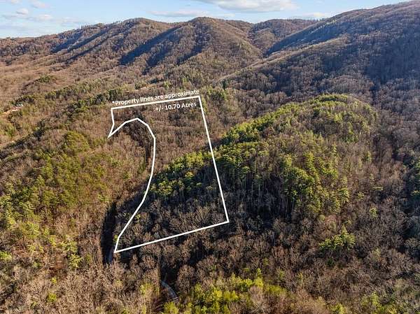 10.7 Acres of Land for Sale in Chatsworth, Georgia