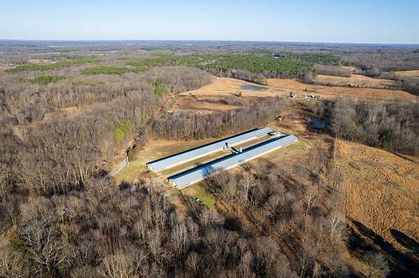 26 Acres of Agricultural Land for Sale in Dresden, Tennessee