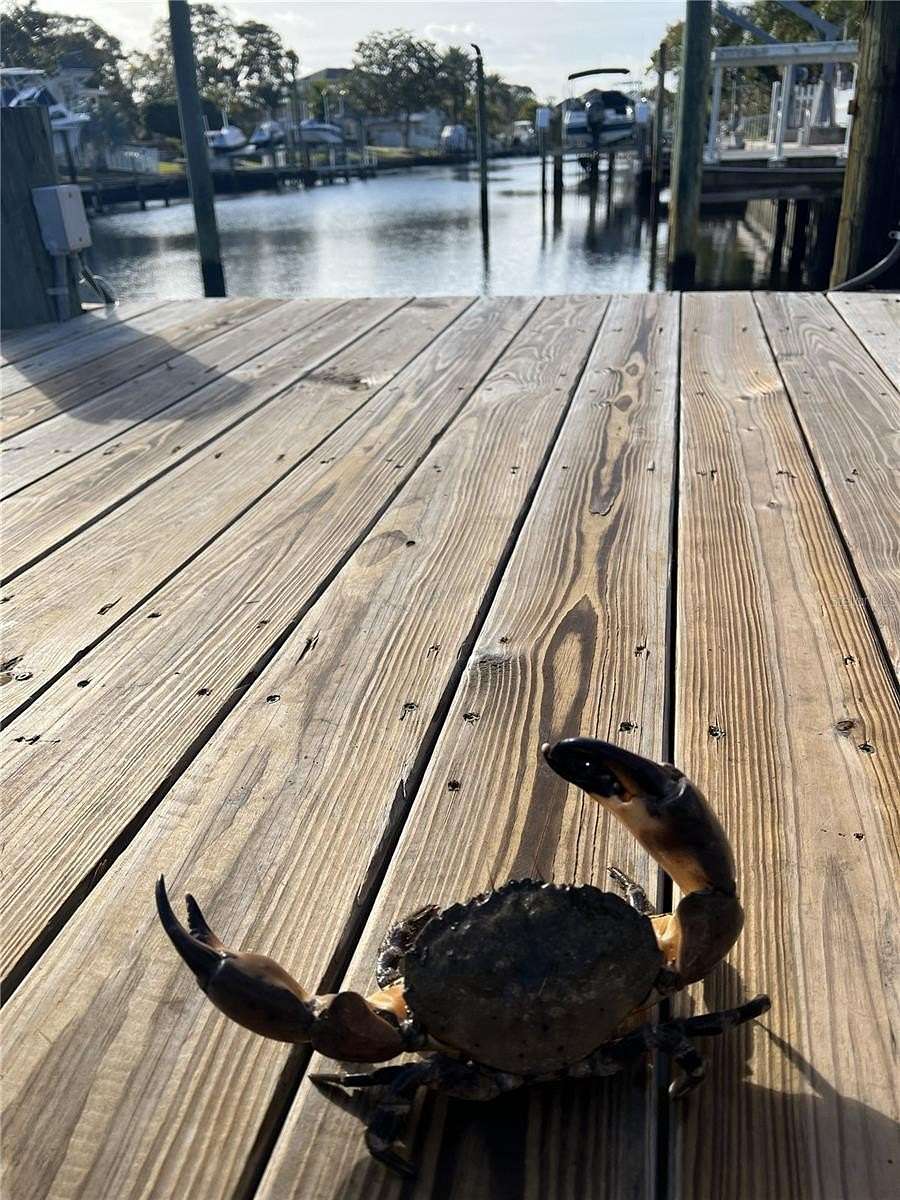 0.16 Acres of Residential Land for Sale in Palm Harbor, Florida