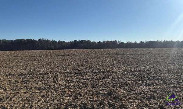 97 Acres of Agricultural & Residential Land for Sale in Elko, Georgia