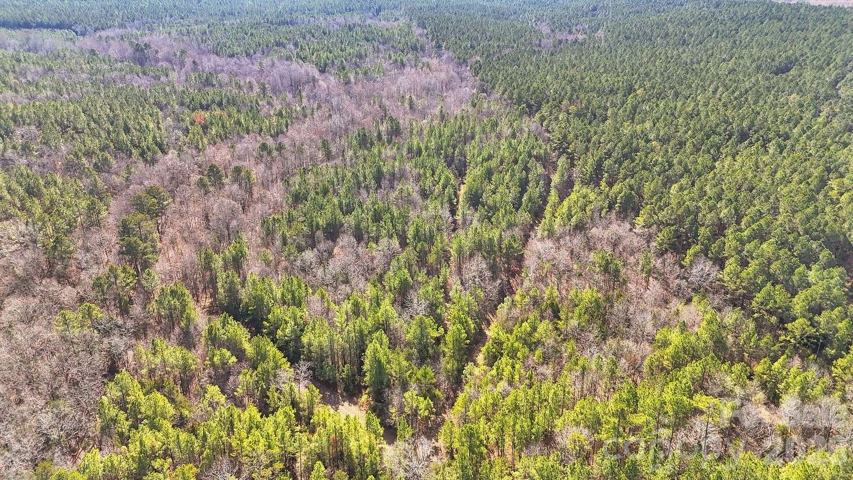 66 Acres of Recreational Land for Sale in Blackstock, South Carolina