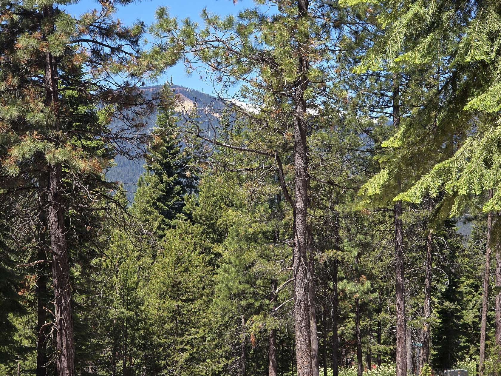 1.3 Acres of Residential Land for Sale in Crescent Lake, Oregon