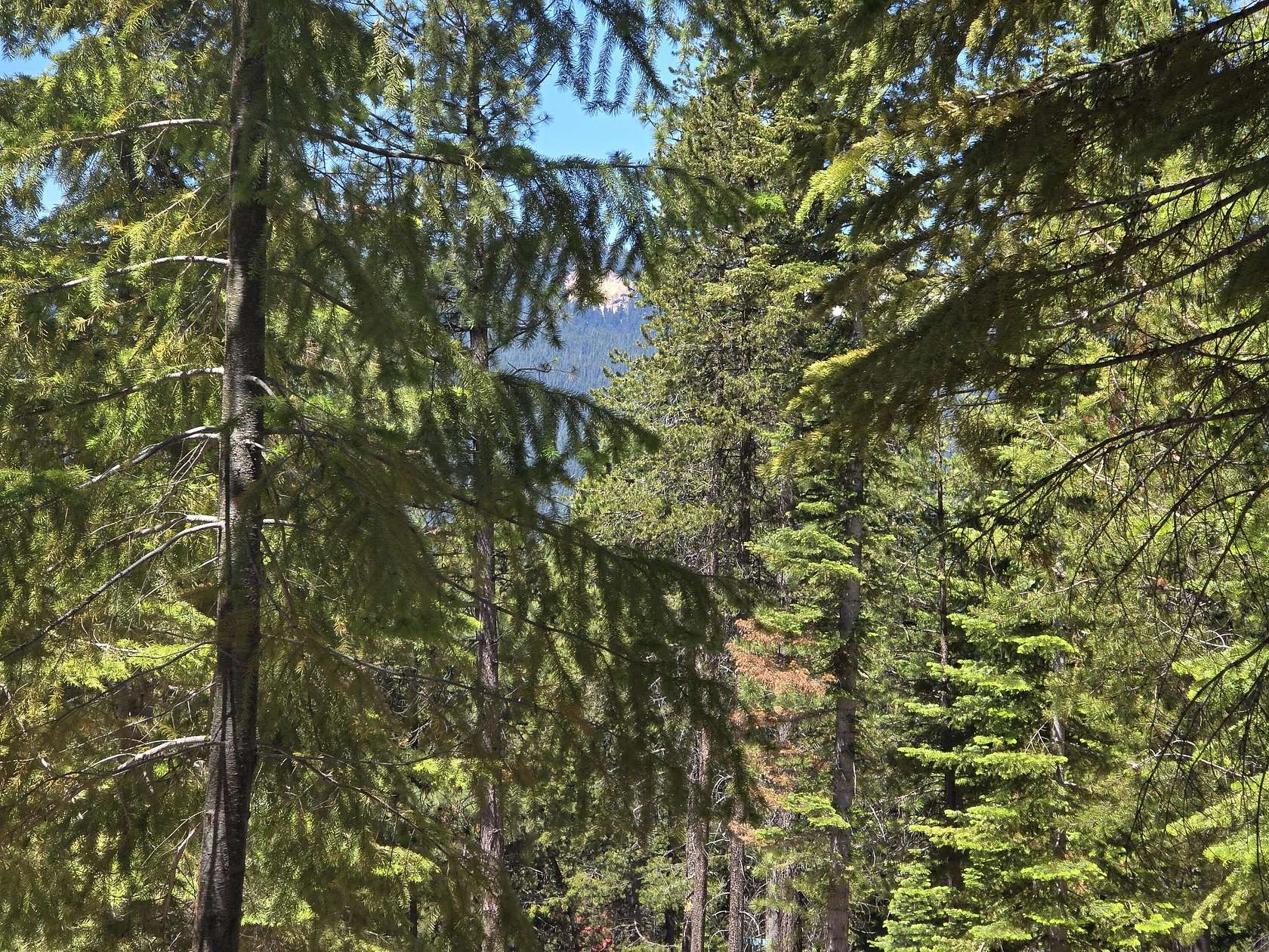 1.3 Acres of Residential Land for Sale in Crescent Lake, Oregon