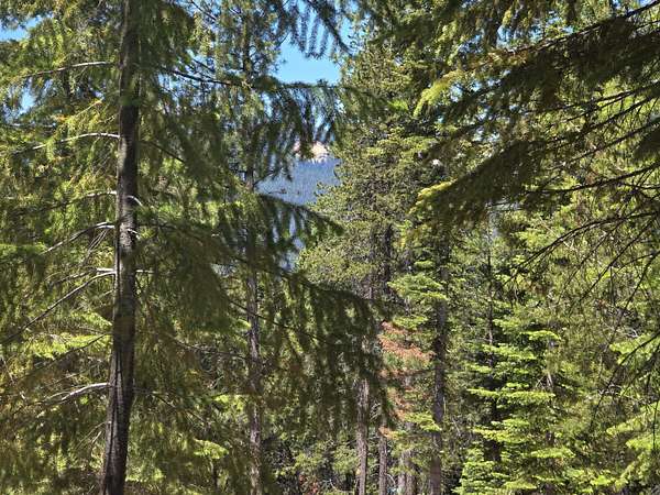 1.3 Acres of Residential Land for Sale in Crescent Lake, Oregon