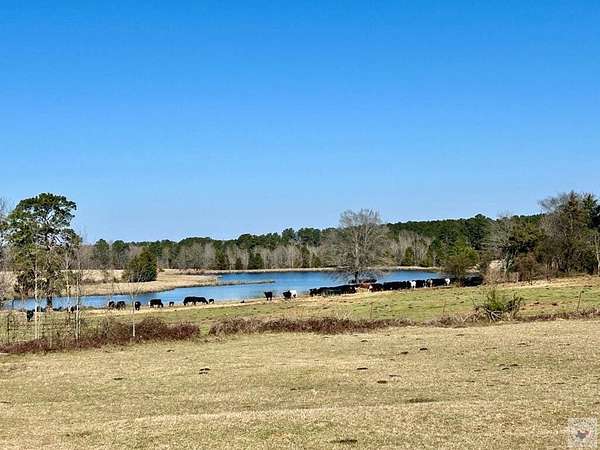 154 Acres of Agricultural Land for Sale in Queen City, Texas