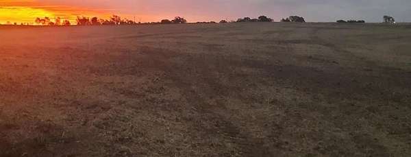 23.6 Acres of Land with Home for Sale in Guilford, Missouri