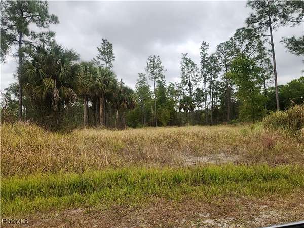 1 Acre of Residential Land for Sale in Lehigh Acres, Florida