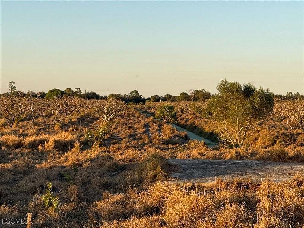 19.4 Acres of Land for Sale in LaBelle, Florida