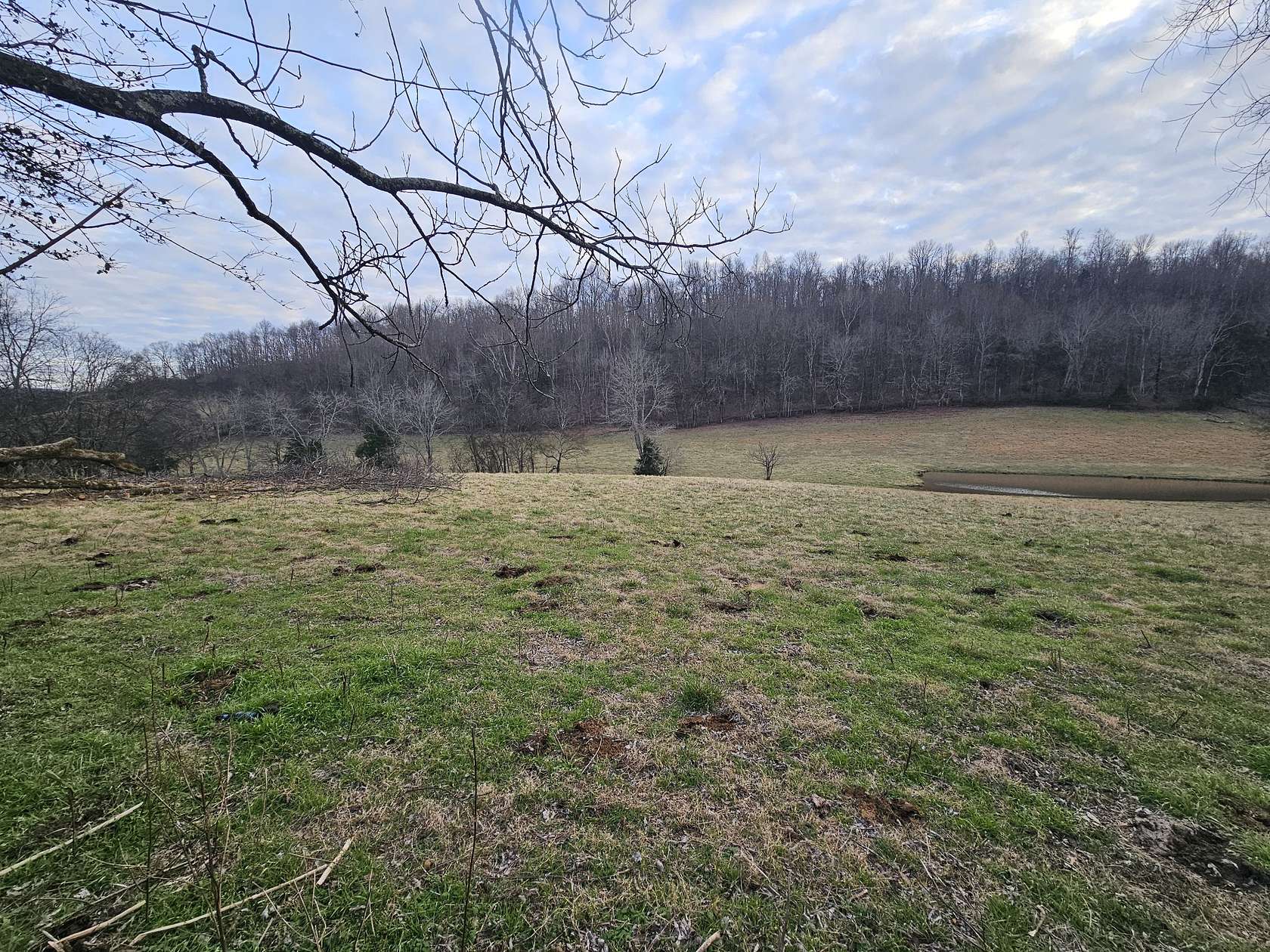 15 Acres of Agricultural Land for Sale in Normandy, Tennessee