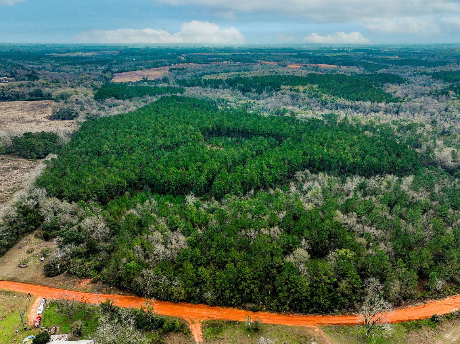 80 Acres of Recreational Land for Sale in Coffee Springs, Alabama