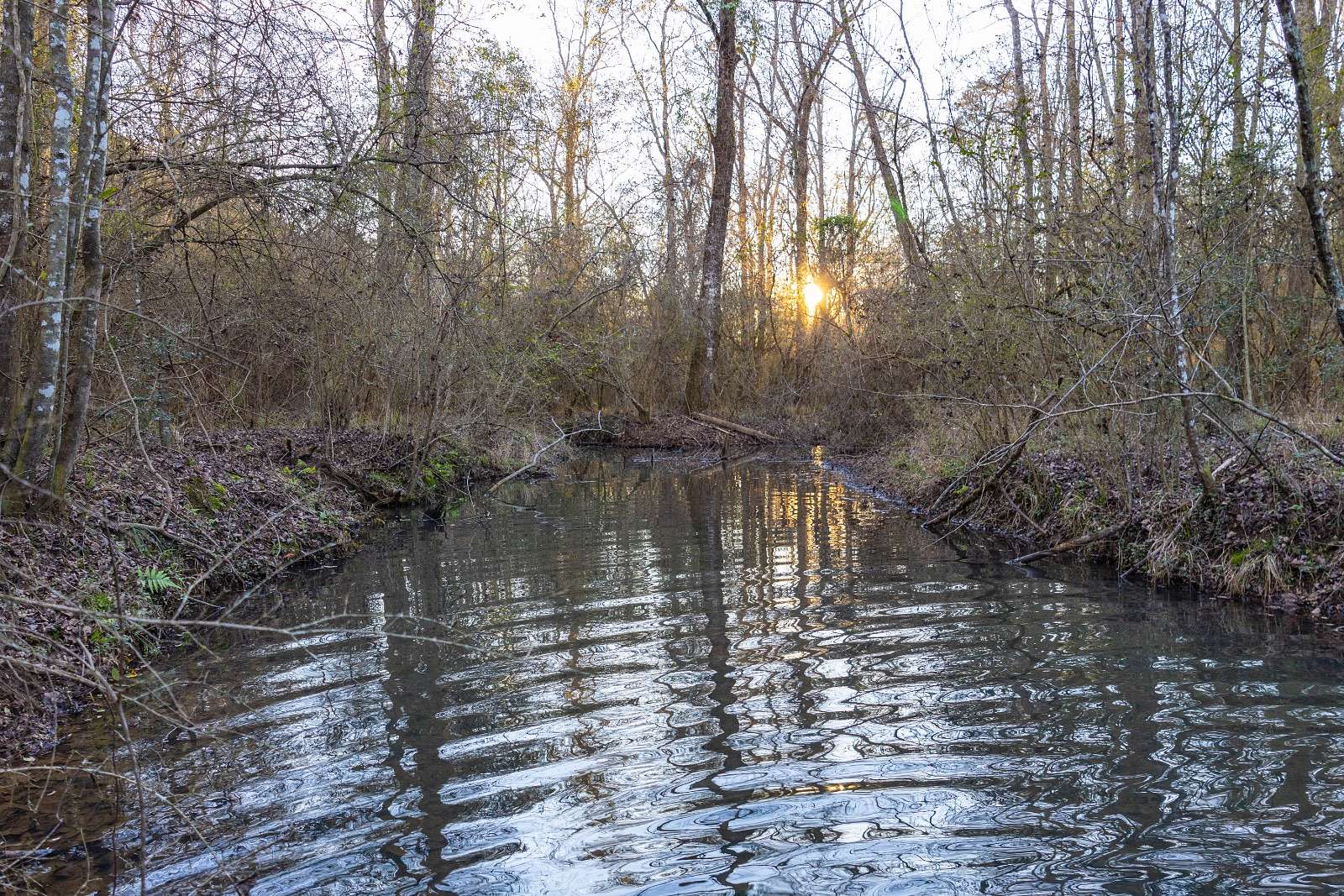 80 Acres of Recreational Land for Sale in Coffee Springs, Alabama