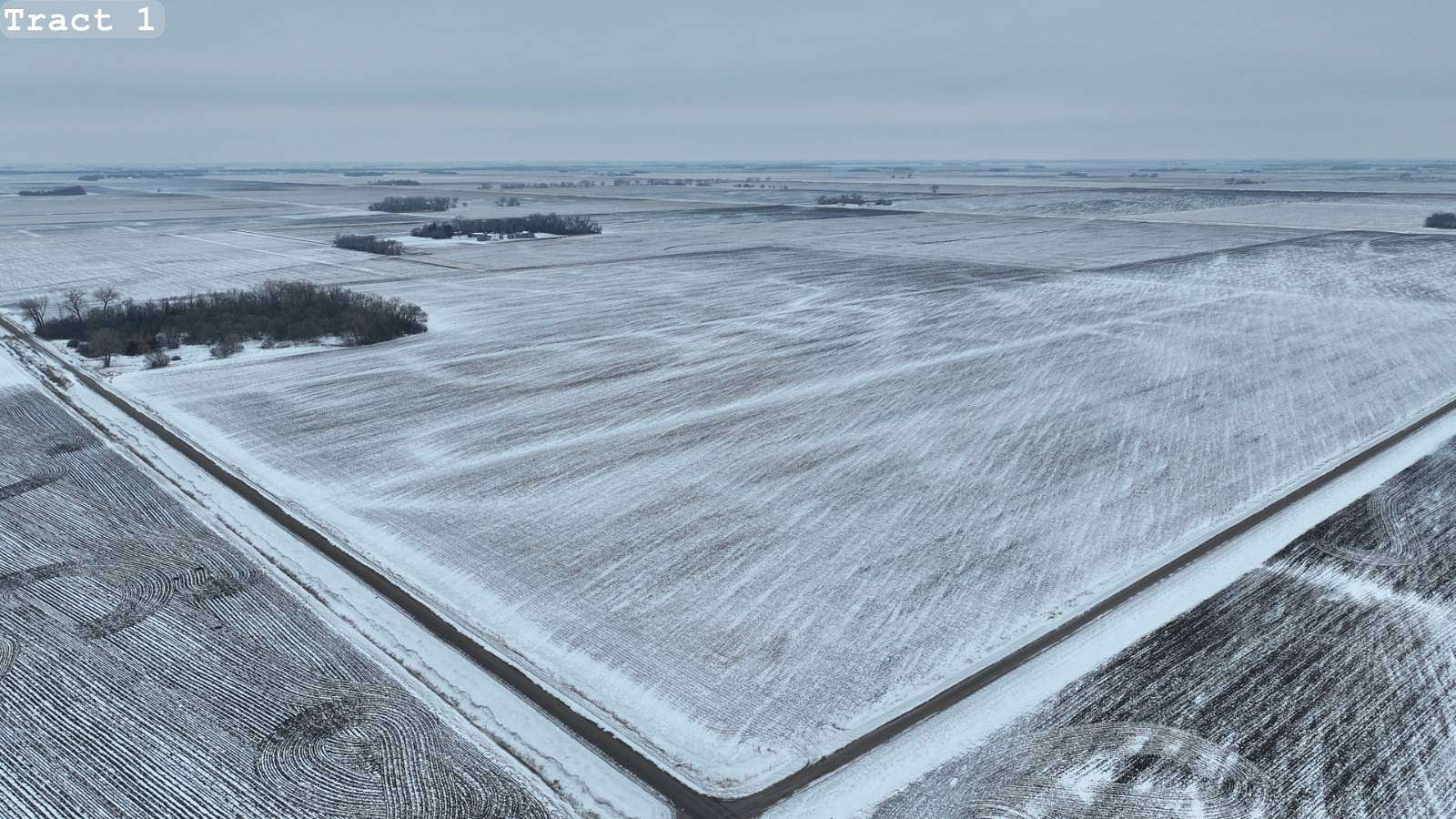 472 Acres of Agricultural Land for Auction in Shelly, Minnesota
