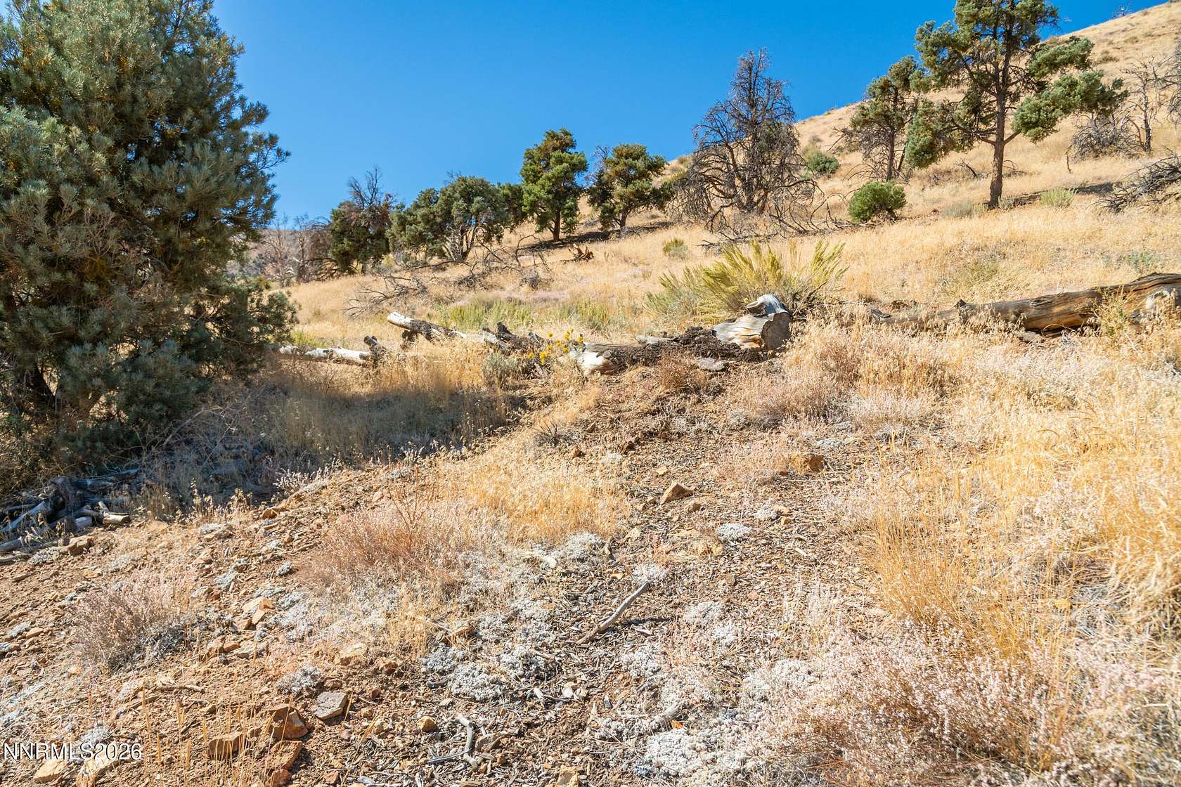 12.2 Acres of Land for Sale in Gardnerville, Nevada