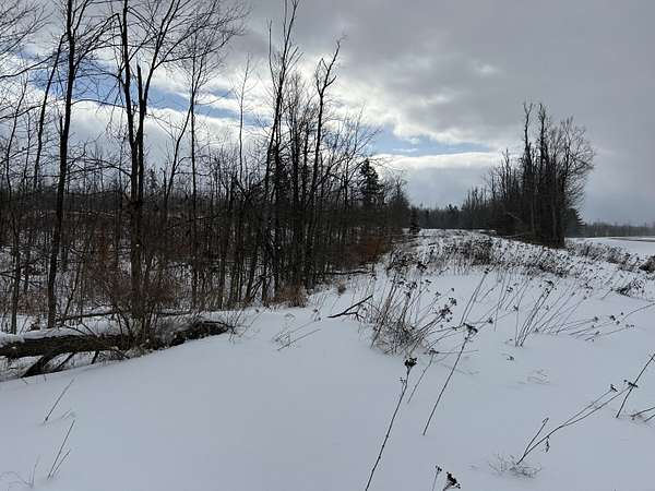 10 Acres of Land for Sale in Hillman, Michigan