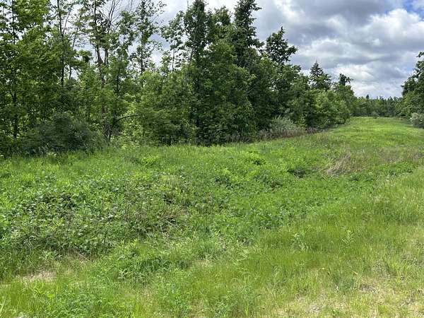 10 Acres of Land for Sale in Hillman, Michigan