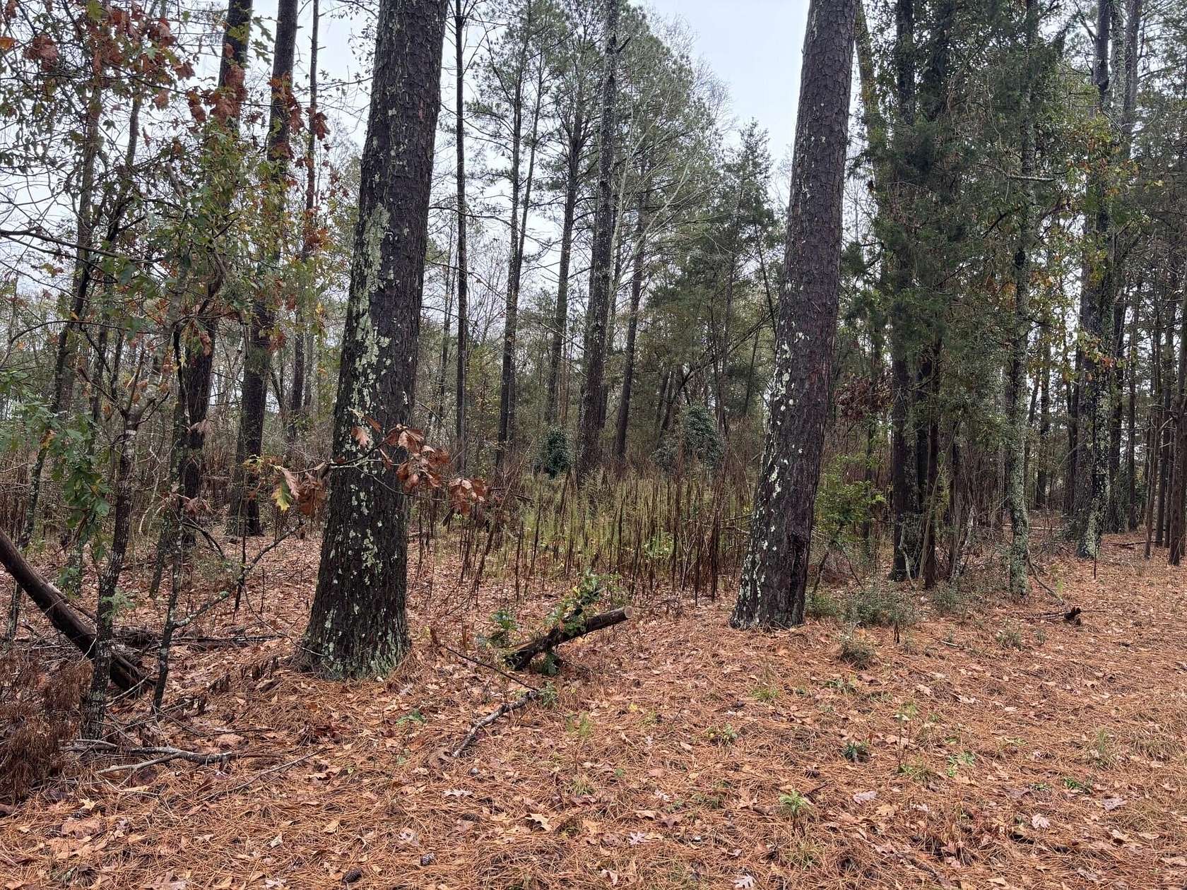 1 Acre of Residential Land for Sale in Edgefield, South Carolina
