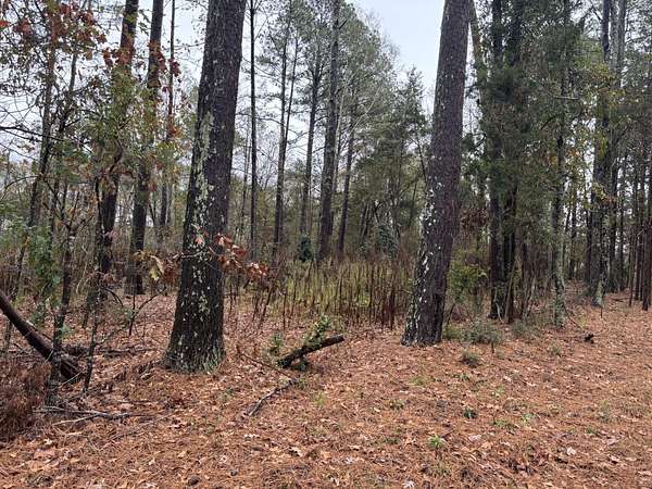1 Acre of Residential Land for Sale in Edgefield, South Carolina