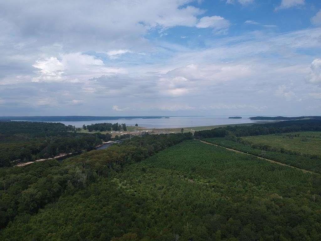 0.3 Acres of Residential Land for Sale in Woodville, Texas