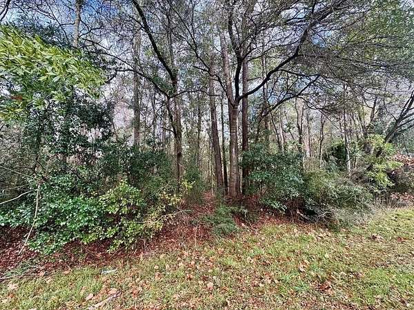 0.3 Acres of Residential Land for Sale in Woodville, Texas