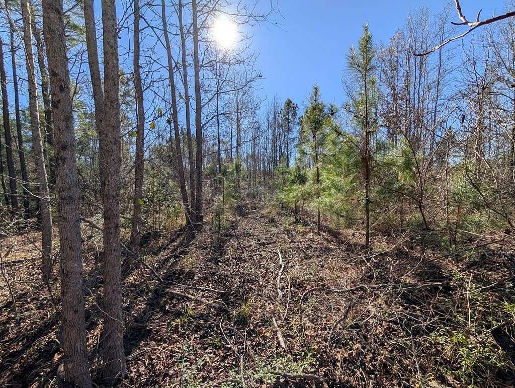 33 Acres of Recreational Land for Sale in Kennard, Texas