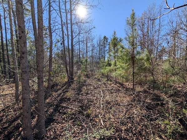 33 Acres of Recreational & Residential Land for Sale in Kennard, Texas