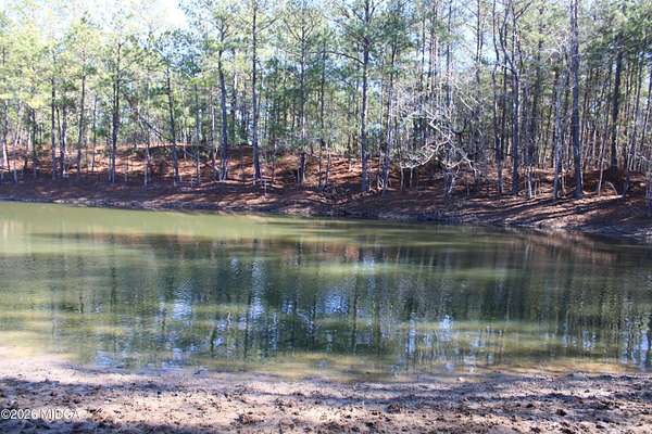 27 Acres of Recreational Land for Sale in Roberta, Georgia