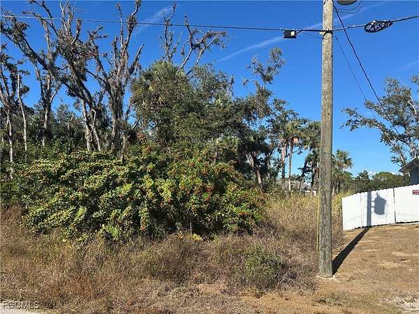 0.27 Acres of Residential Land for Sale in Lehigh Acres, Florida