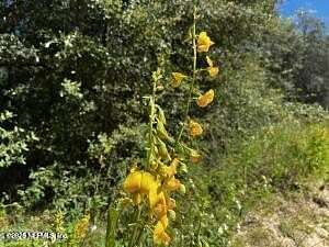 2 Acres of Land for Sale in Keystone Heights, Florida