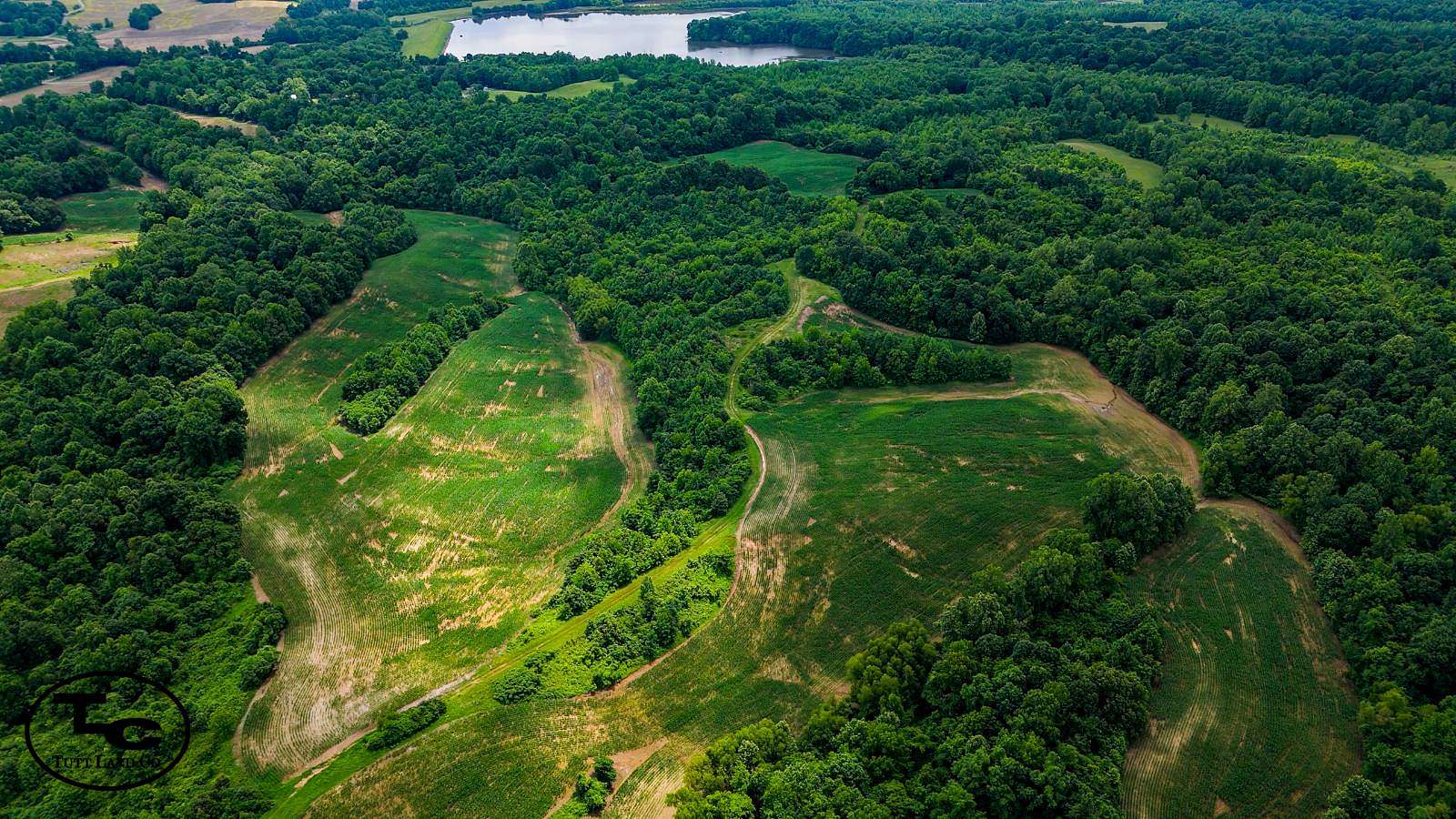 145 Acres of Land for Sale in Troy, Tennessee