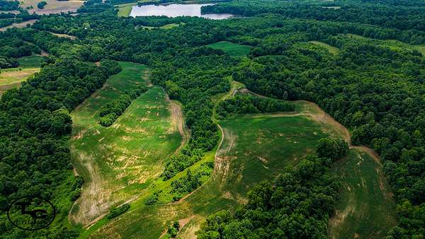 145 Acres of Land for Sale in Troy, Tennessee