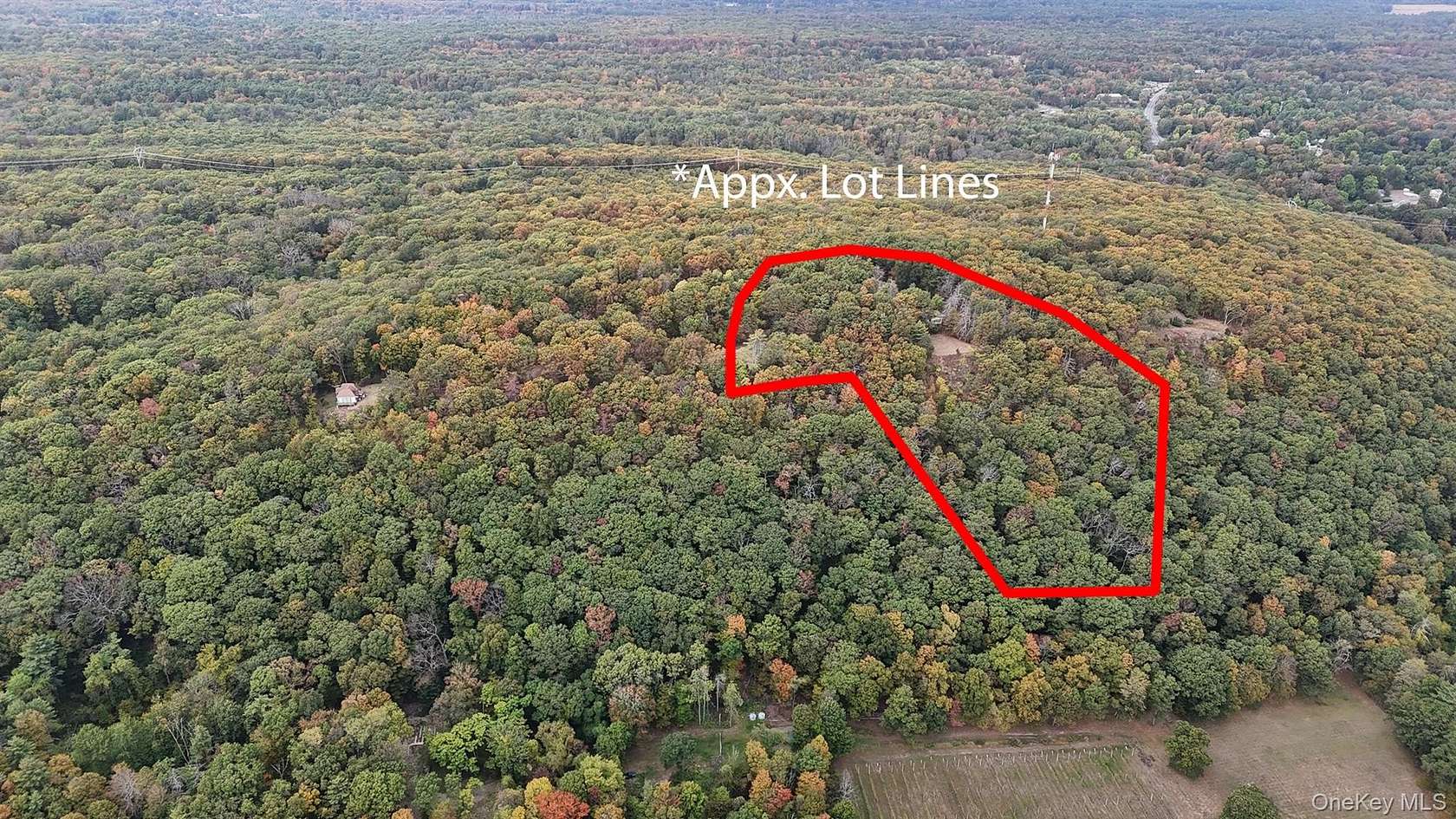 5 Acres of Land for Auction in Saugerties, New York