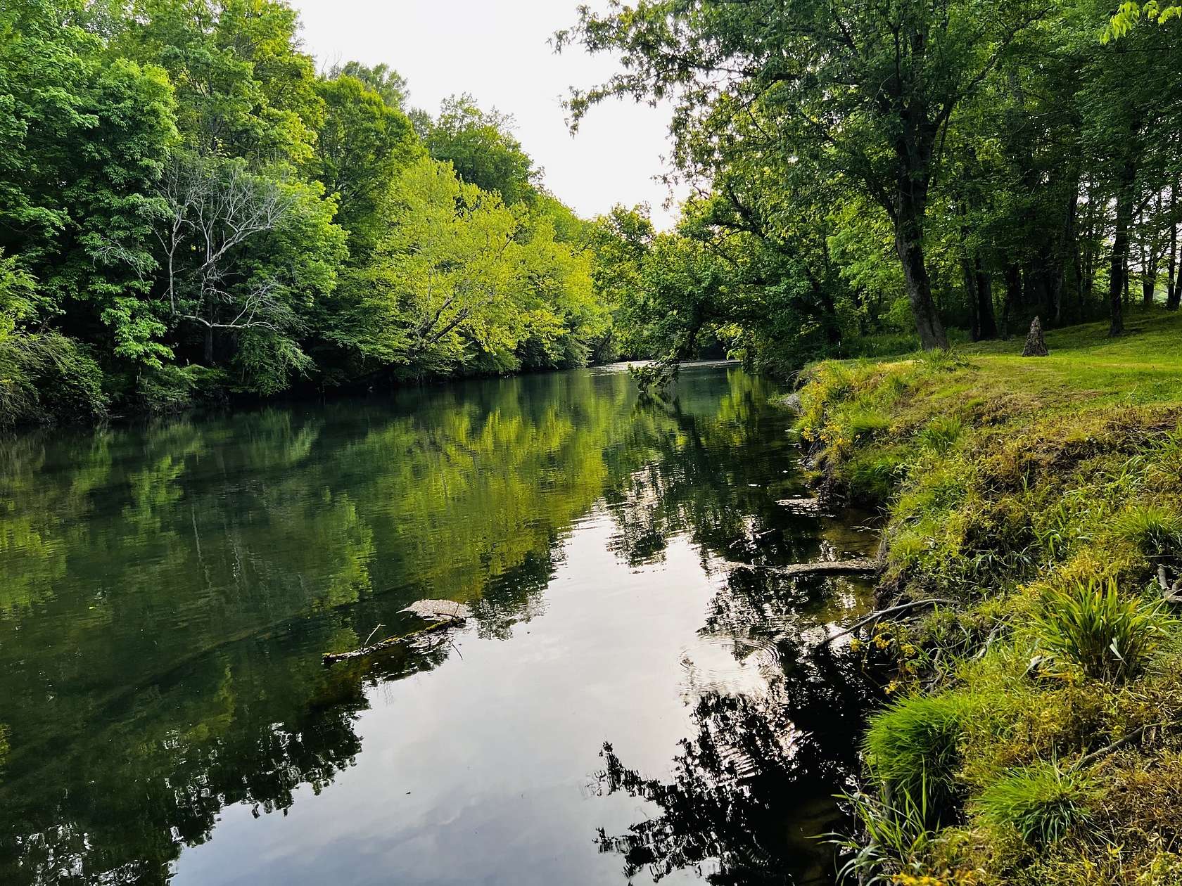 8.59 Acres of Residential Land for Sale in McMinnville, Tennessee