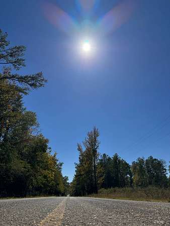 11.7 Acres of Recreational Land & Farm for Sale in Cuba, Alabama