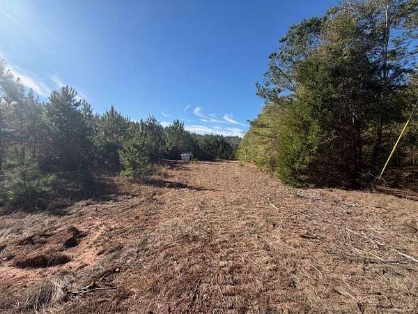 27.2 Acres of Recreational Land for Sale in Red Level, Alabama